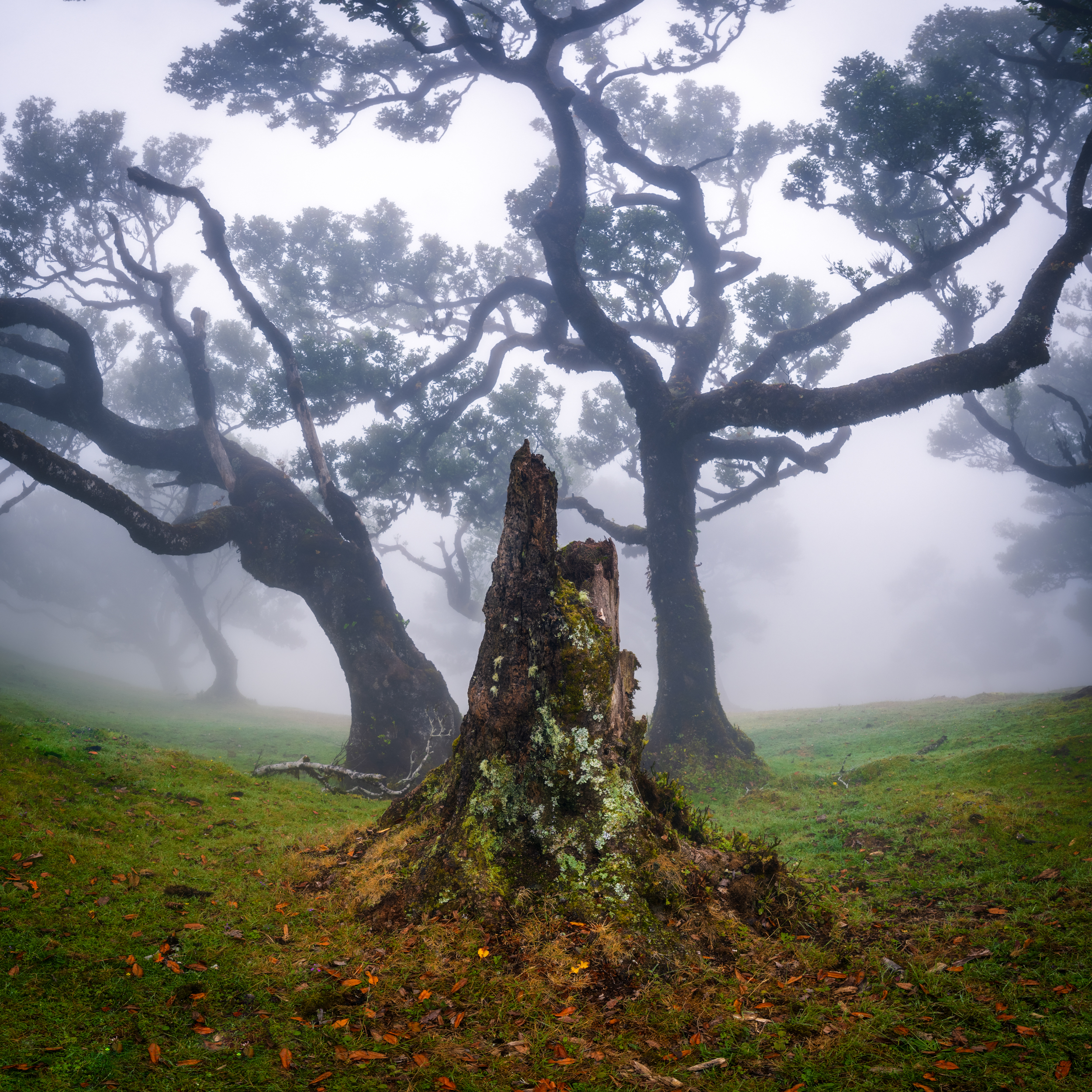 DSC_6030-HDR-Pano-Edit-Edit-Edit